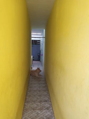 Foto 26: Linda casa no dic cinco região do ouro verde em Campinas 